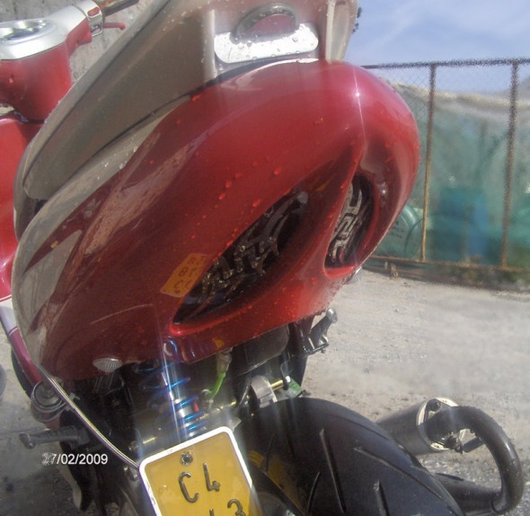31