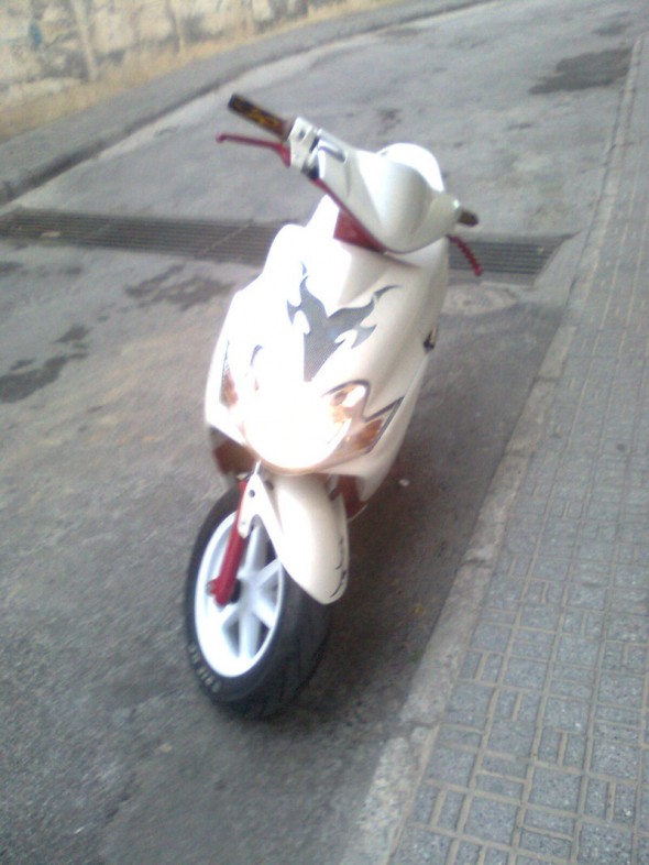 imagen0278